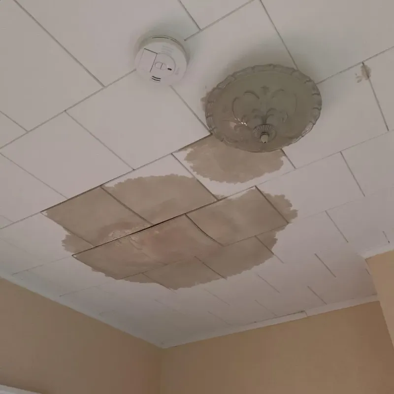Ceiling Water Damage Repair in East Uniontown, PA