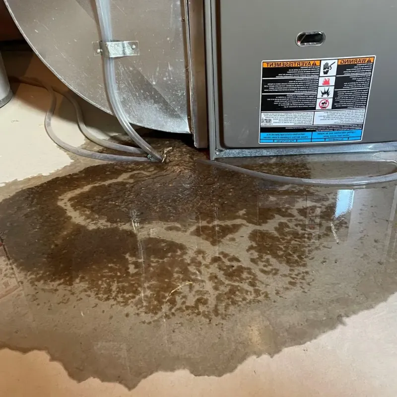 Pipe Burst and Leak Restoration in East Uniontown, PA