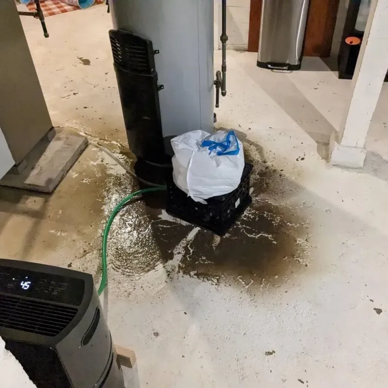 Sewage Backup Cleanup Service in East Uniontown, PA